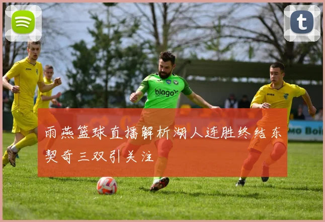 雨燕篮球直播解析湖人连胜终结东契奇三双引关注