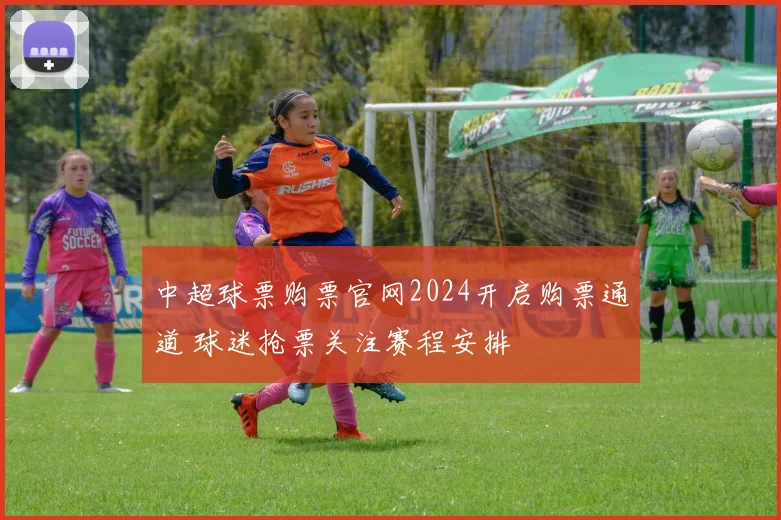 中超球票购票官网2024开启购票通道 球迷抢票关注赛程安排