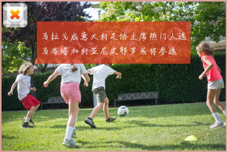 马拉戈成意大利足协主席热门人选马洛塔加利亚尼皮耶罗或将参选